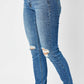 Judy Blue Tummy Control Skinny Jeans
